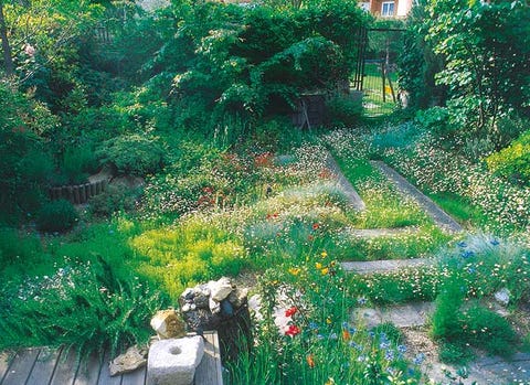 Outdoor gardens