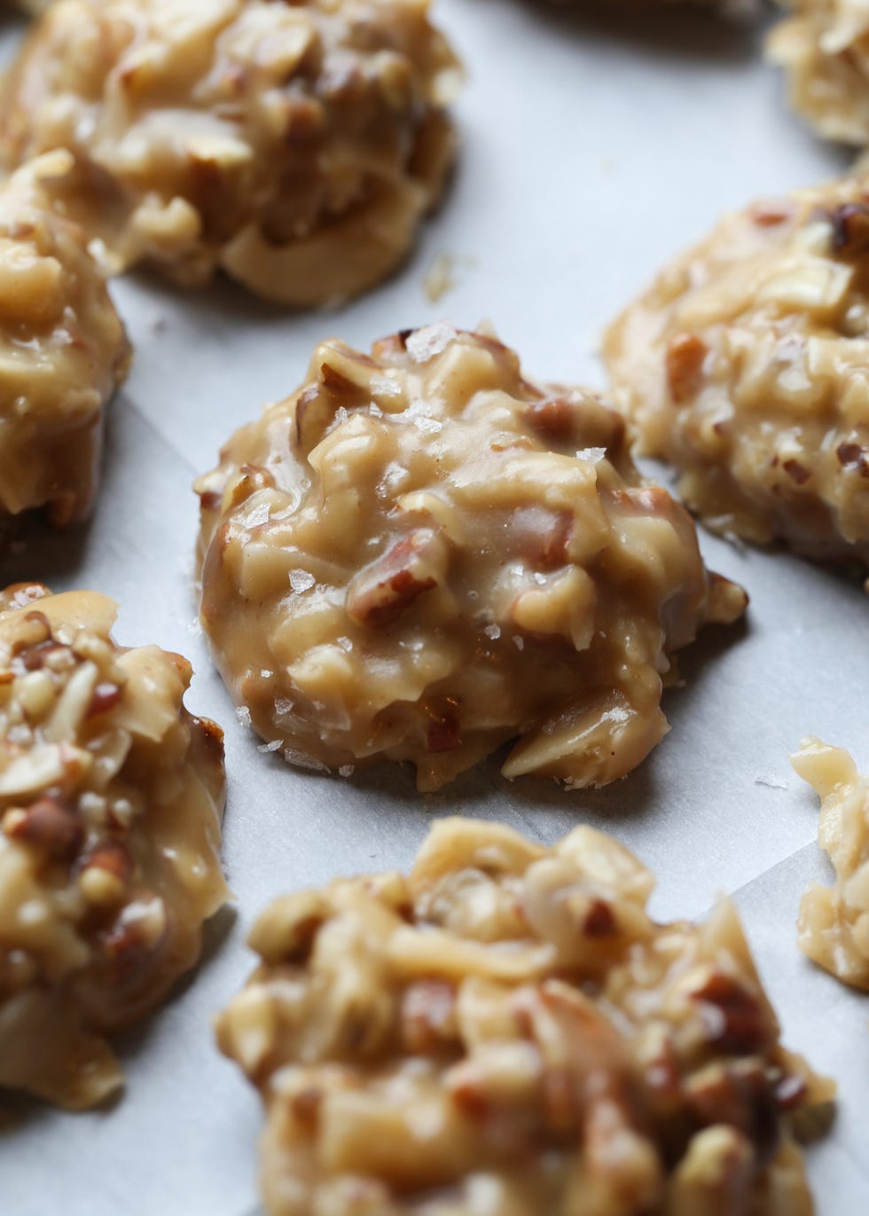 No-Bake Coconut Praline Cookies