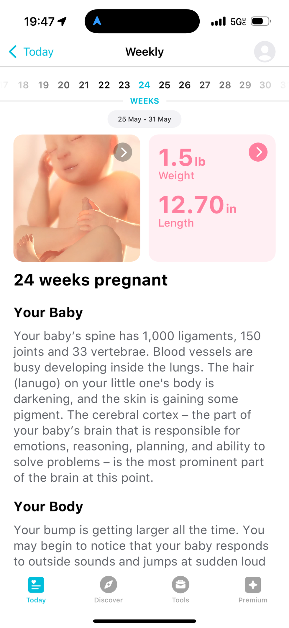 screenshot of the pregnancy plus app showing a fetus at 24 weeks