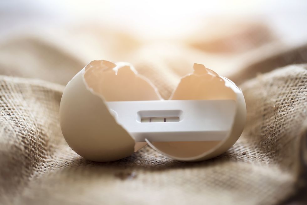 pregnancy test in the egg at sunlight