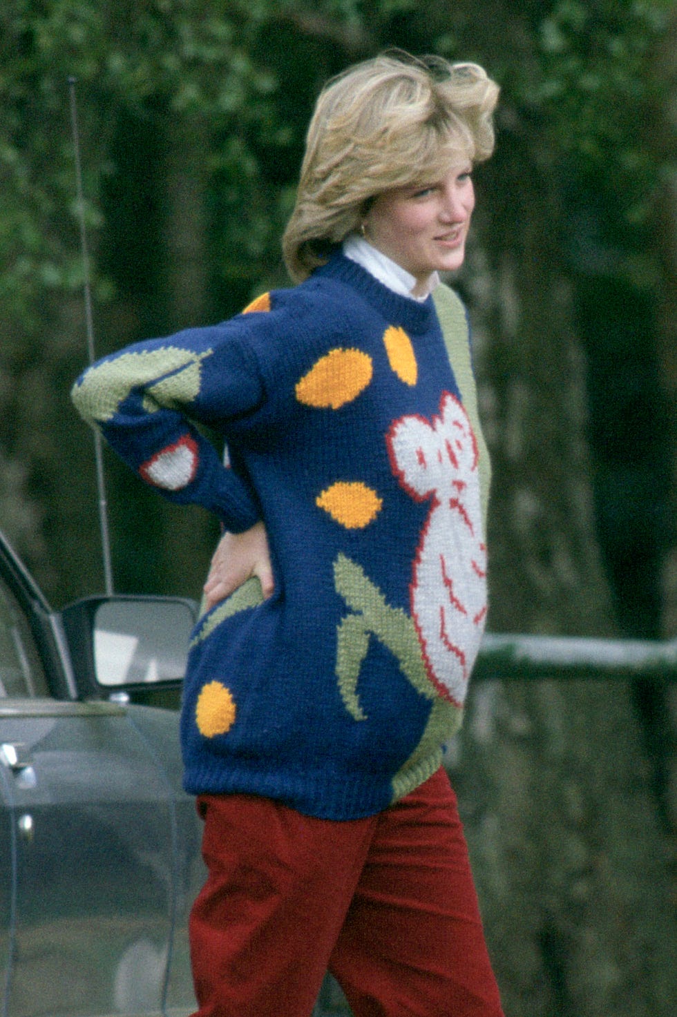 Charles Diana Pregnant charles diana pregnant