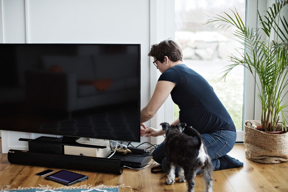 pregnant woman arranging cables of television set while kneeling by dog in living room