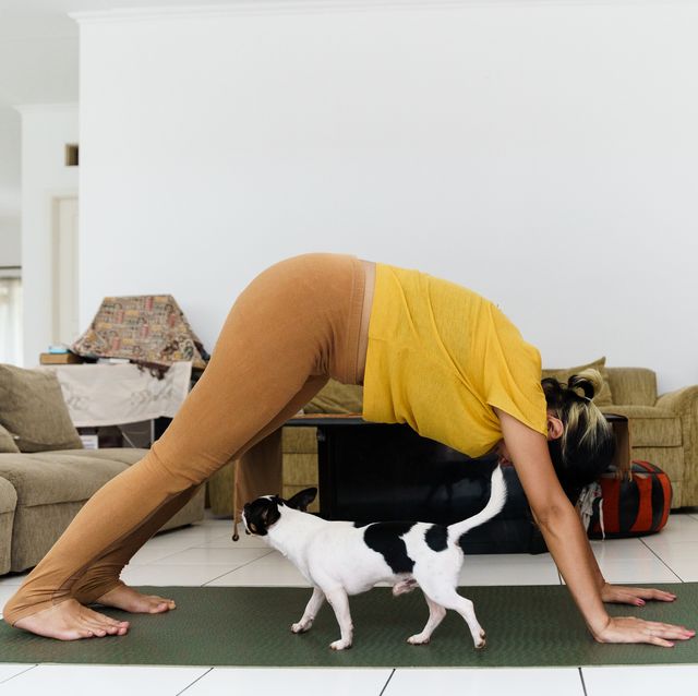 pregnant woman doing stretching and yoga with puppy