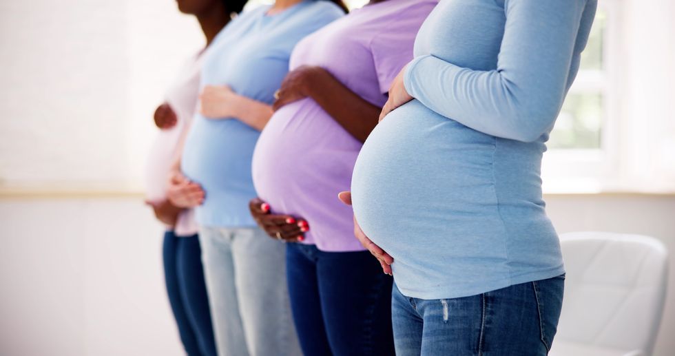 pregnant woman group in row young mothers