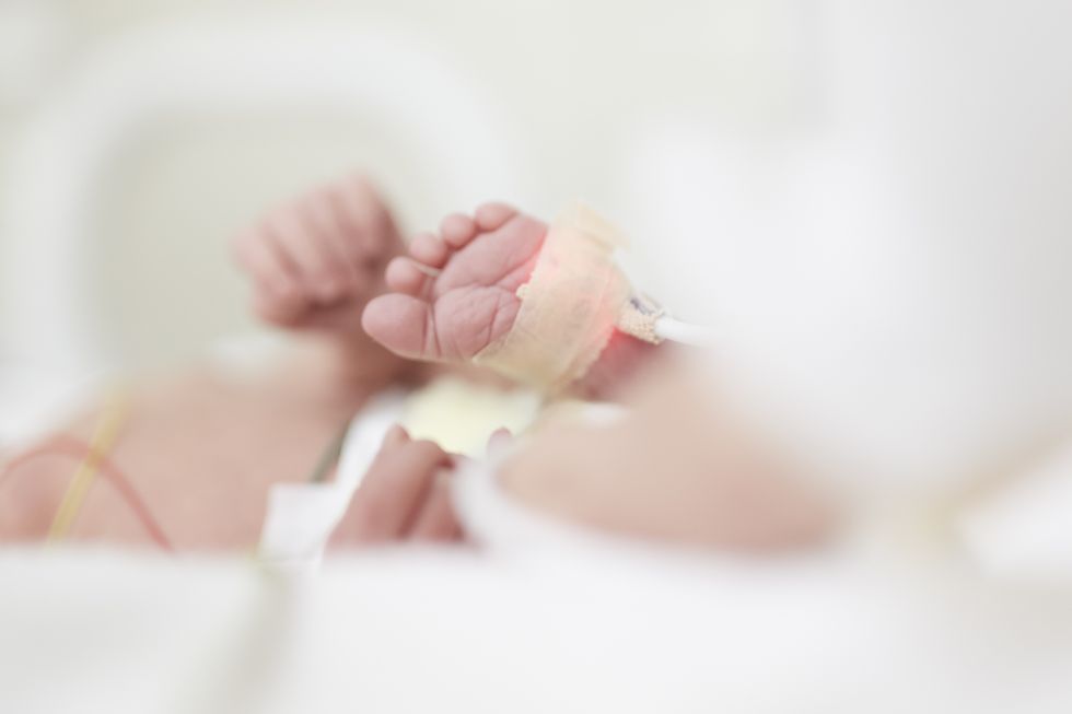 premature baby girl in incubator