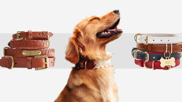 Designer Leather Dog Collars & Leashes
