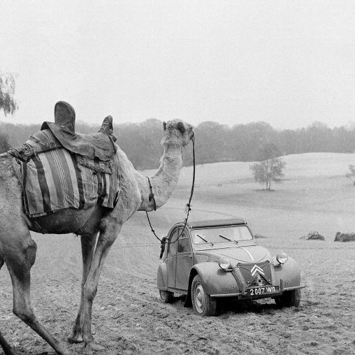 The Citroën 2CV Sahara: Two Engines Are Better Than One -  Motors Blog