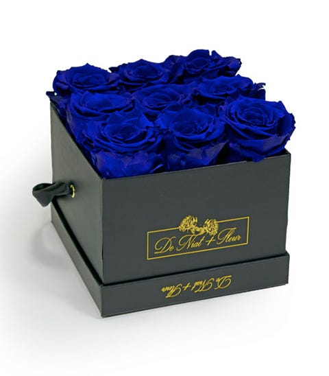 Blue, Cobalt blue, Rose, Flower, Electric blue, Blue rose, Petal, Plant, Rose family, Box, 