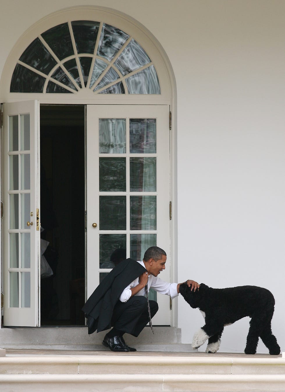 obama family dog name