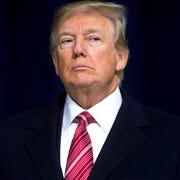 This is an image donald trump