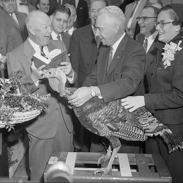 Eisenhower with Turkey