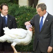 US President George W. Bush(R) pets "Liberty" the