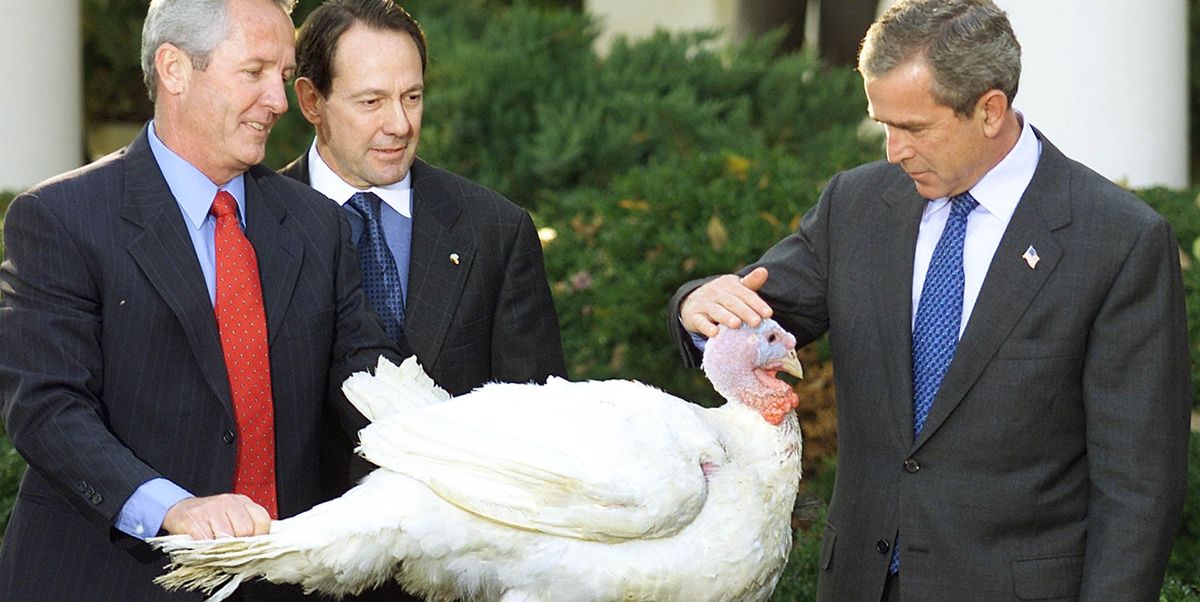president-george-w-bush-pets-liberty-the-turkey-during-the-news-photo-51709179-1566844813.jpg