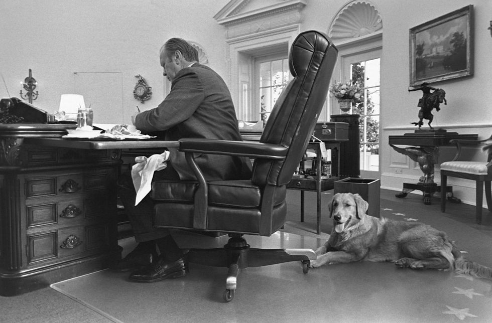 president gerald ford and his pet dog liberty in the oval office