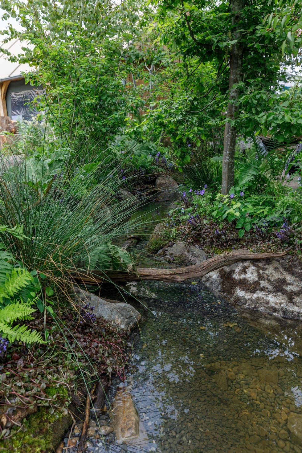 Chelsea Flower Show: Why Kate Middleton Didn't Win Medal For Garden