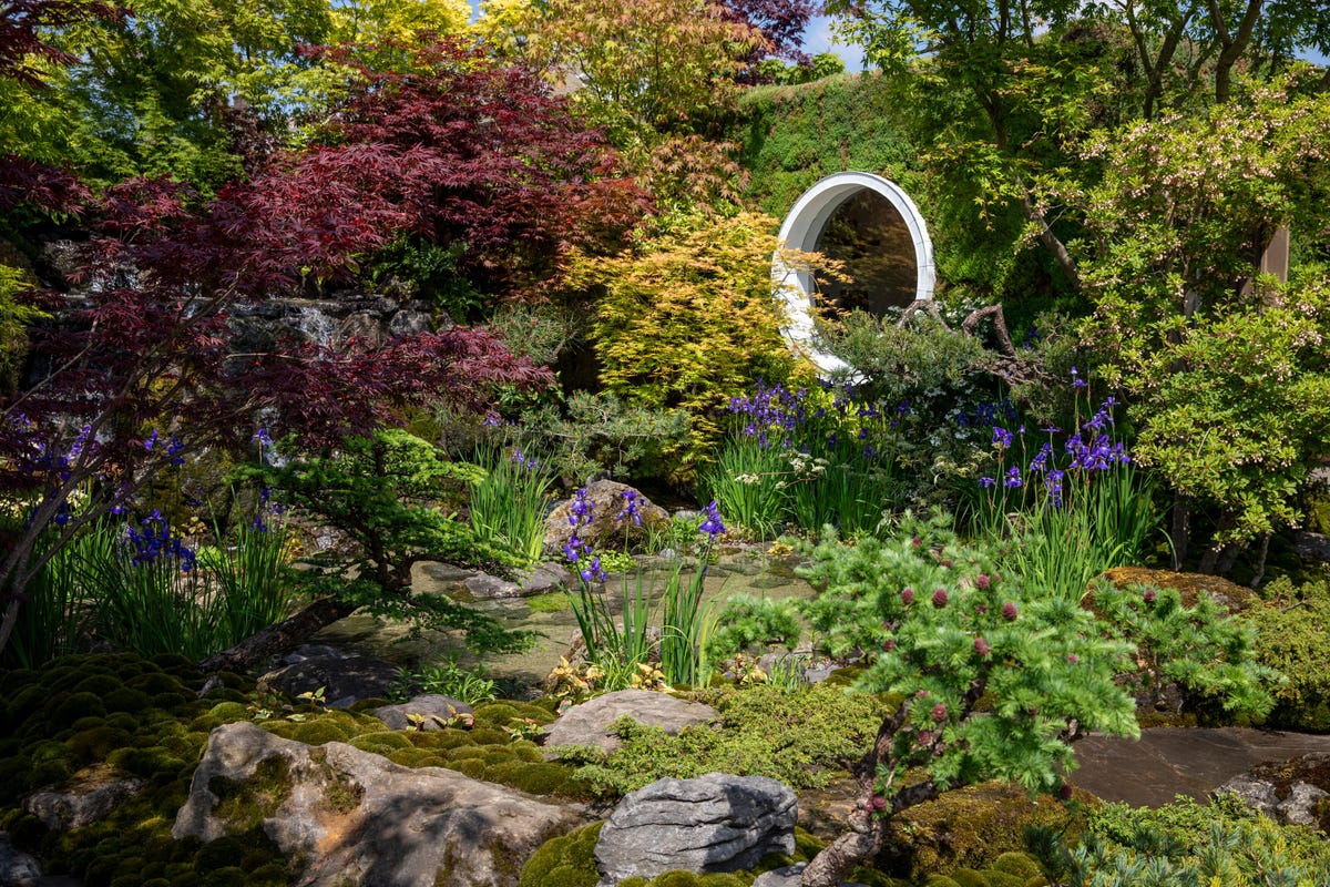 7 Beautiful Garden Trends That Will Surge in Popularity in 2025