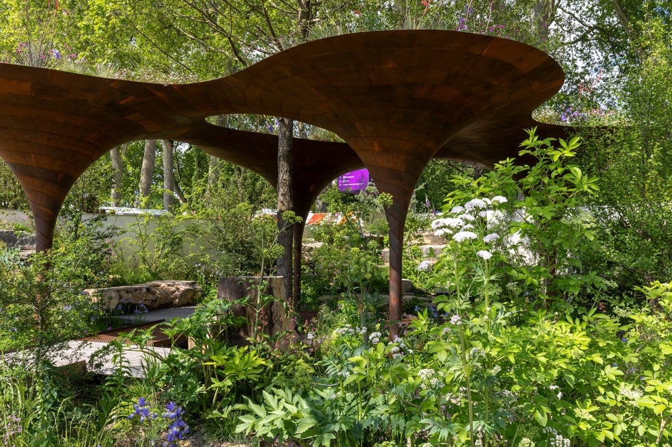 7 Beautiful Garden Trends That Will Surge in Popularity in 2025