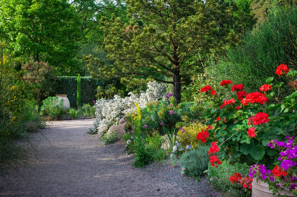 mediterranean garden