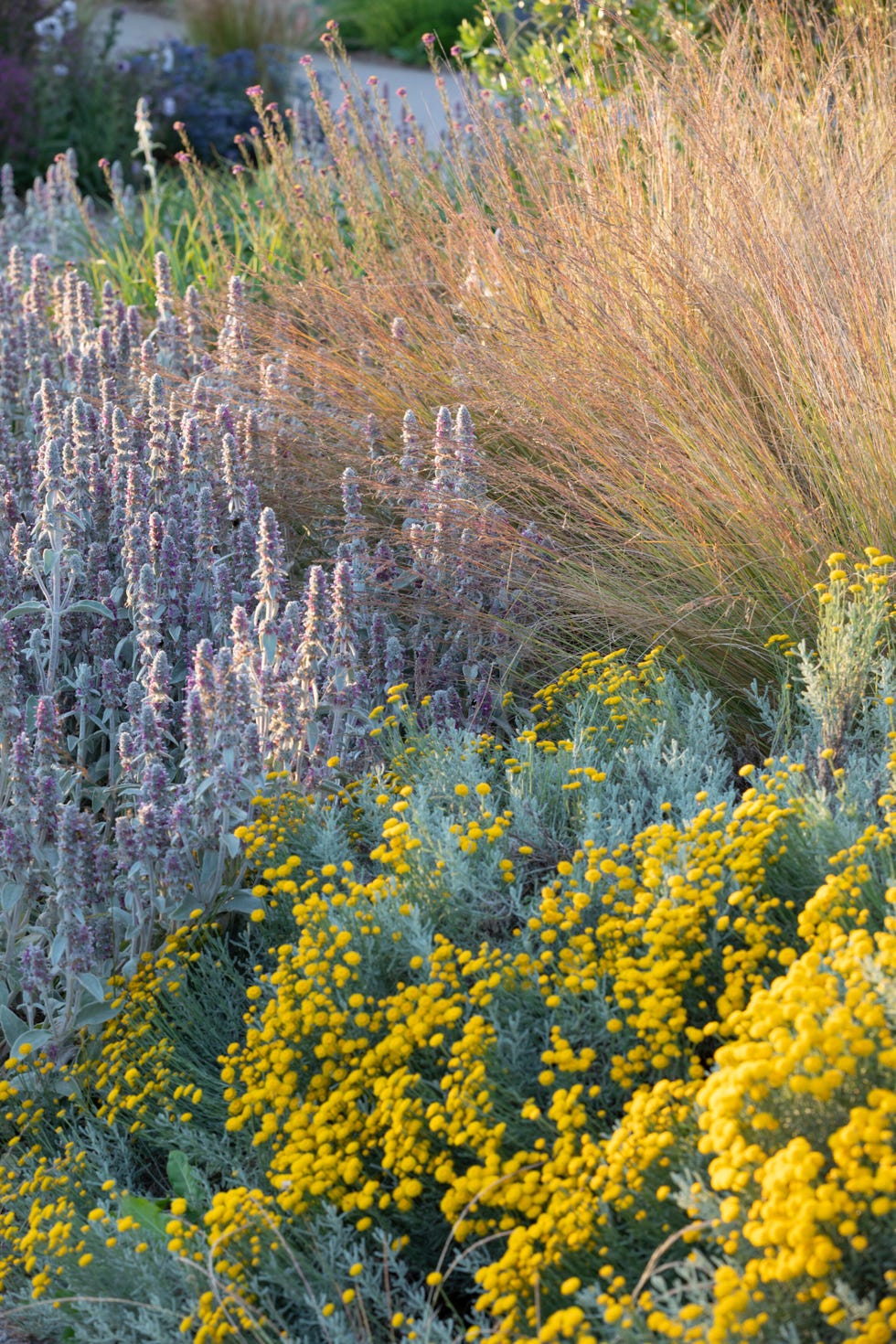 mediterranean garden