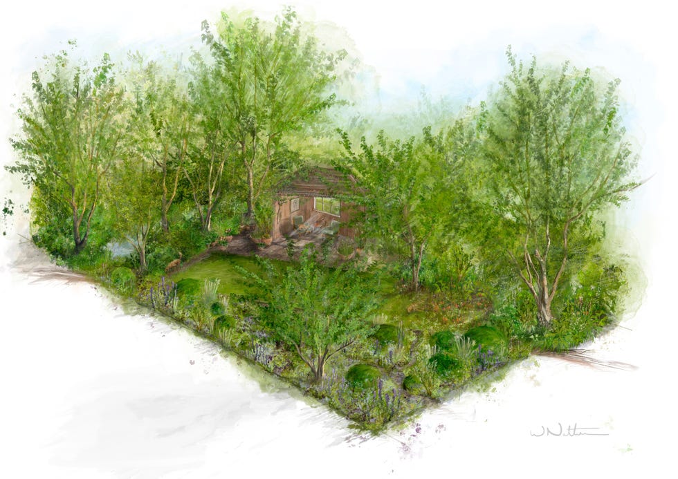 chelsea flower show