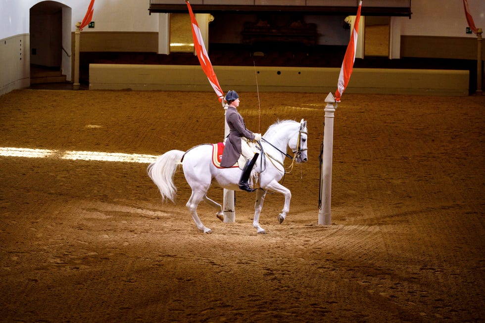 spanish riding school