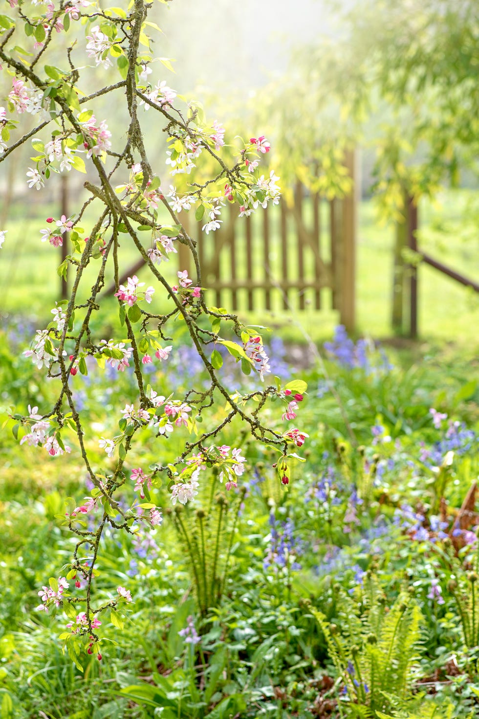 Start of Spring UK When Does Spring Start?