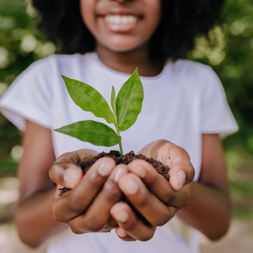 prevent global warming, girl planting a small tree