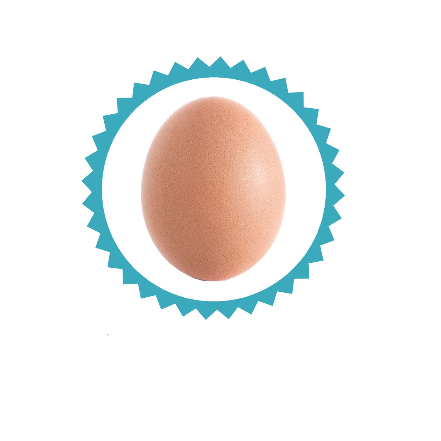 Egg cup, Baking cup, Egg, Egg, Serveware, Oval, Food, 