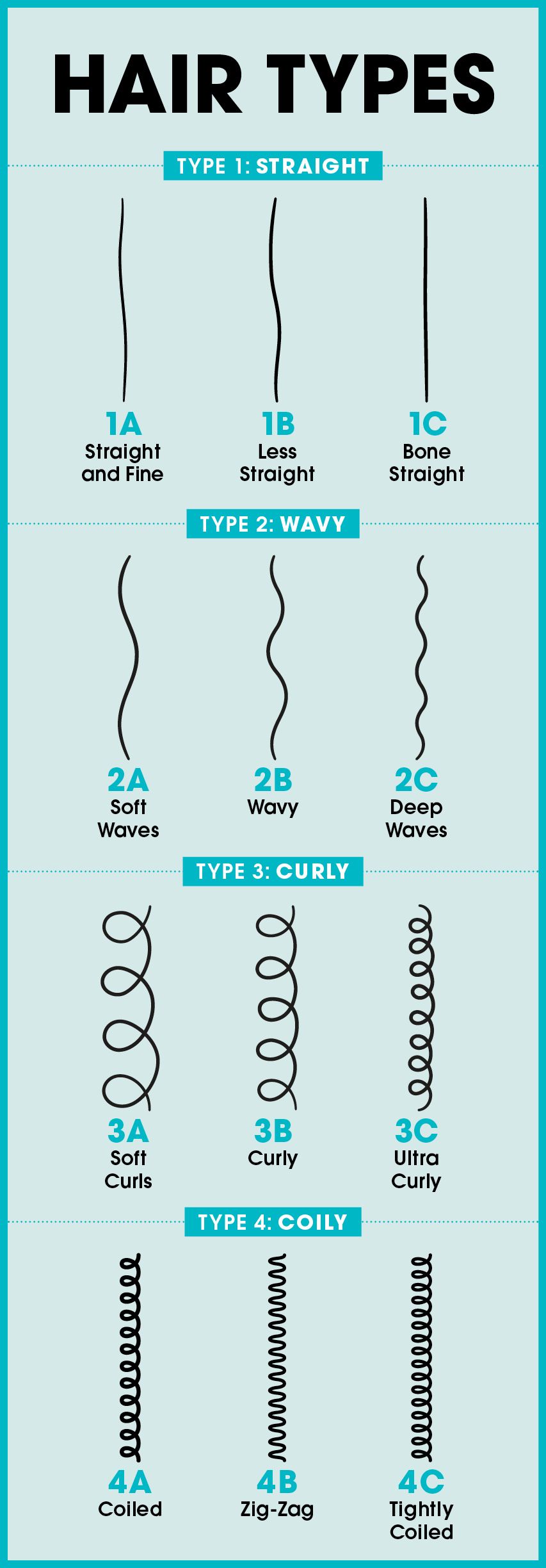 prevention hair types chart