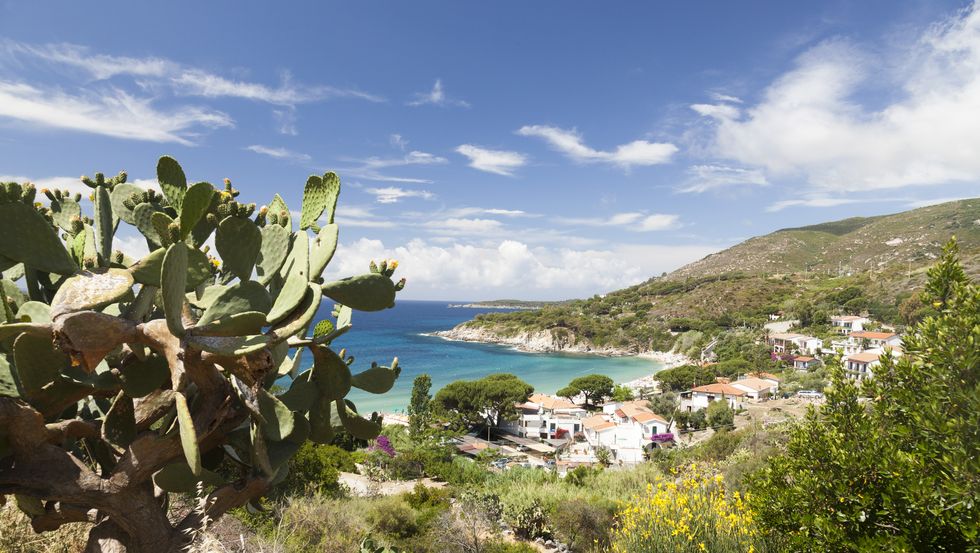 trekking isola d’elba