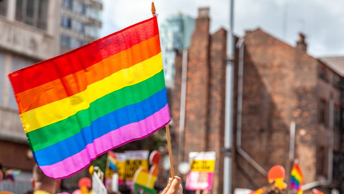 preview for 10 LGBTQ+ Flags That Celebrate Pride