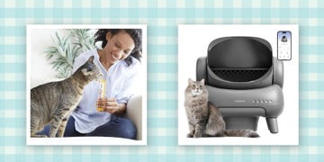 prime day cat deals including lickable squeezable treat tubes, automatic litter box