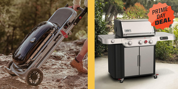 weber traveler portable gas grill, weber genesis smart grill