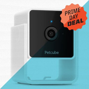 petcube cam indoor wi fi pet and security camera with phone app
