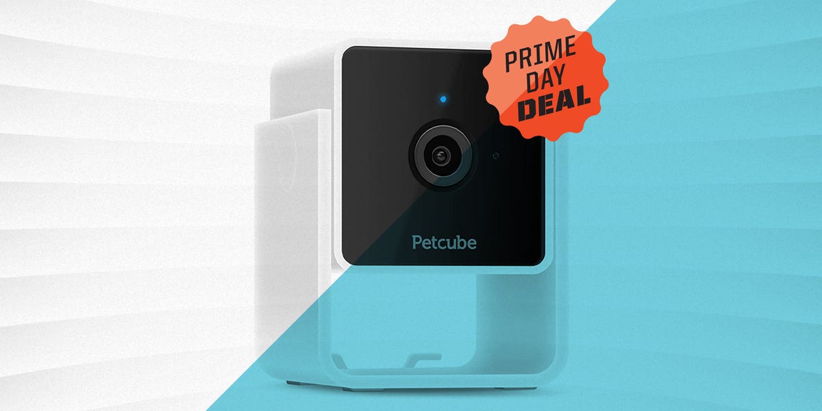 Las mejores ofertas en Cámaras de seguridad para el Hogar Petcube