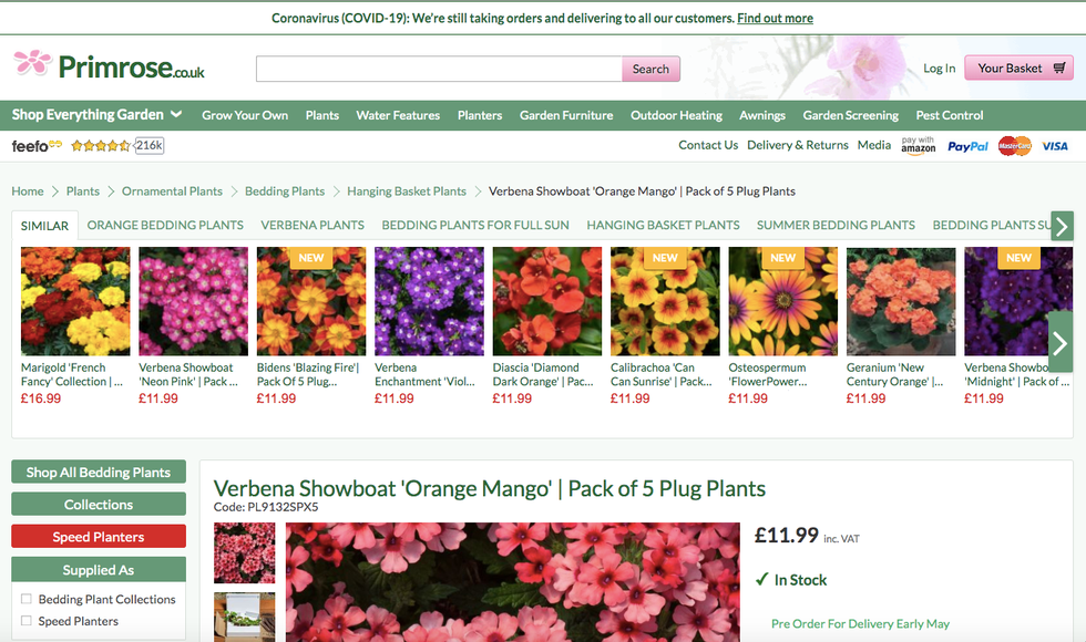 Primrose website