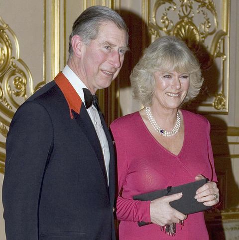 Prince Charles And Camilla Parker-Bowles Announce Intention To Marry