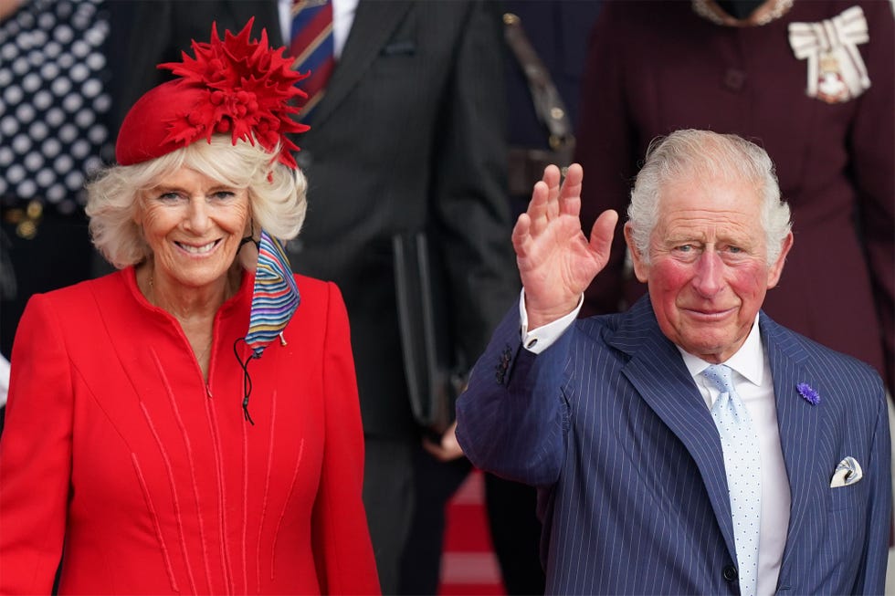 queen in pink brooch wales