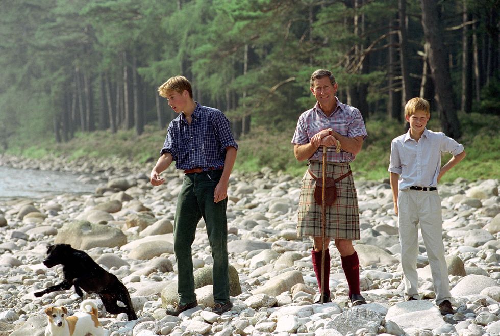 Charles And William And Harry And Dogs