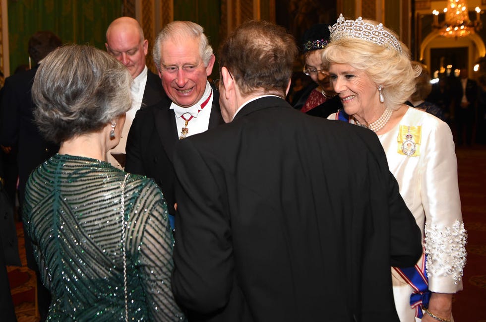 Every Photo from Tonight's Diplomatic Reception at Buckingham Palace ...