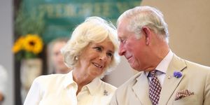 the prince of wales and duchess of cornwall visit wales