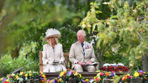 preview for Princess Anne Speaks with Veterans Ahead of the 75th Anniversary of V-J Day