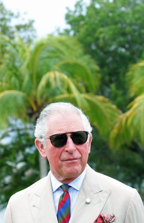 the prince of wales and duchess of cornwall visit st kitts and nevis