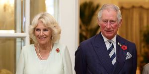 the prince of wales and the duchess of cornwall visit singapore