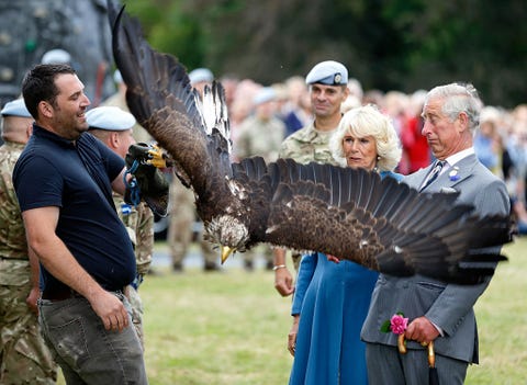 sandingham flower show