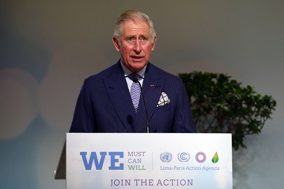 the prince of wales speaks at the lima paris action agenda session at cop21