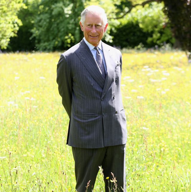 the prince of wales launches the coronation meadows initiative