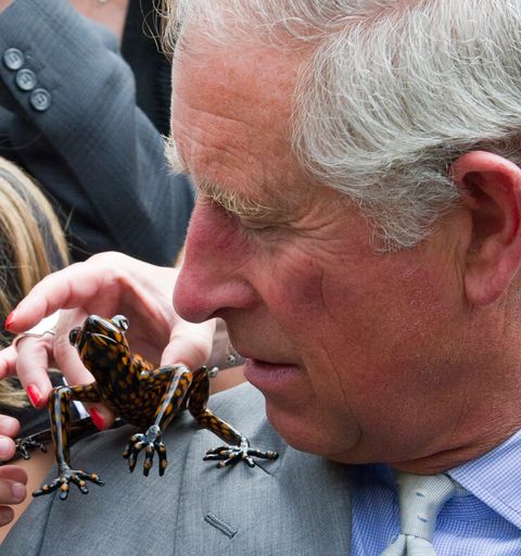 Prince Charles, Prince of Wales Supports WWF Green Ambassadors Scheme