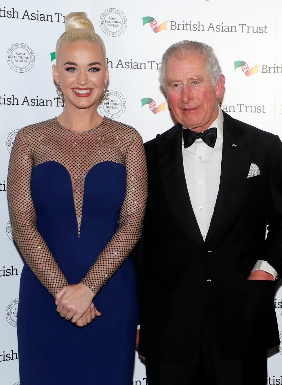 the prince of wales and duchess of cornwall attend a reception to celebrate the british asian trust