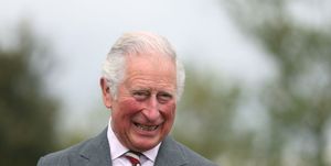 the prince of wales visits wales
